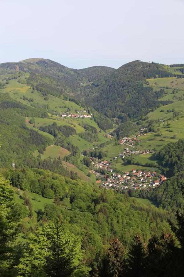Hotel Kirchbuehl Im Schwarzwald Hotel Шенау-ім-Шварцвальд Екстер'єр фото